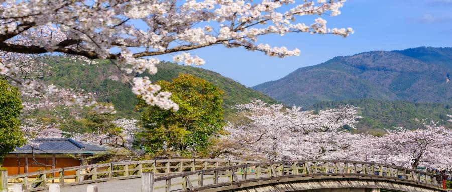 岚山嵯峨野小火车